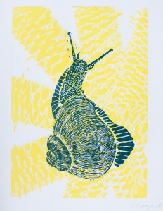 snail (5 of 8)