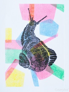 snail (7 of 8)
